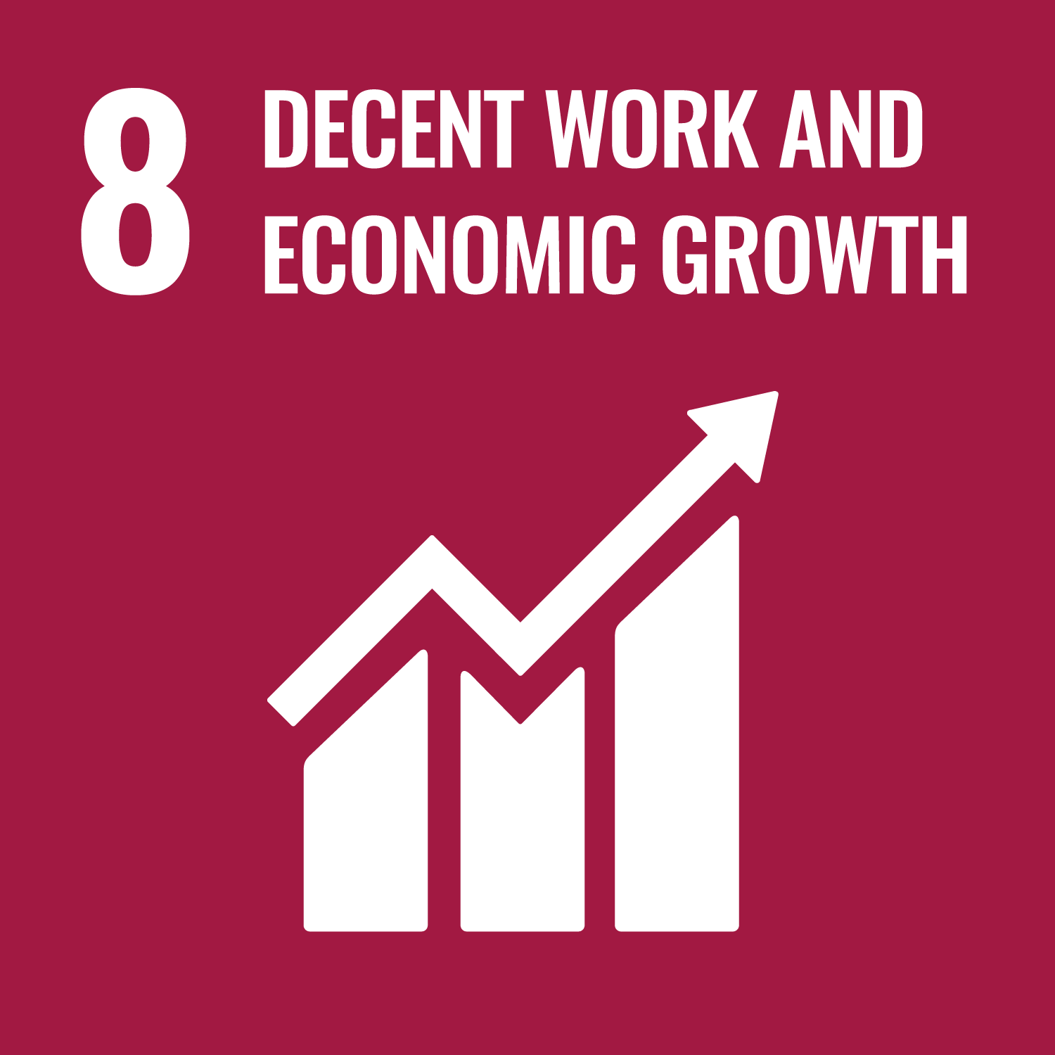 UN SDG 8 image