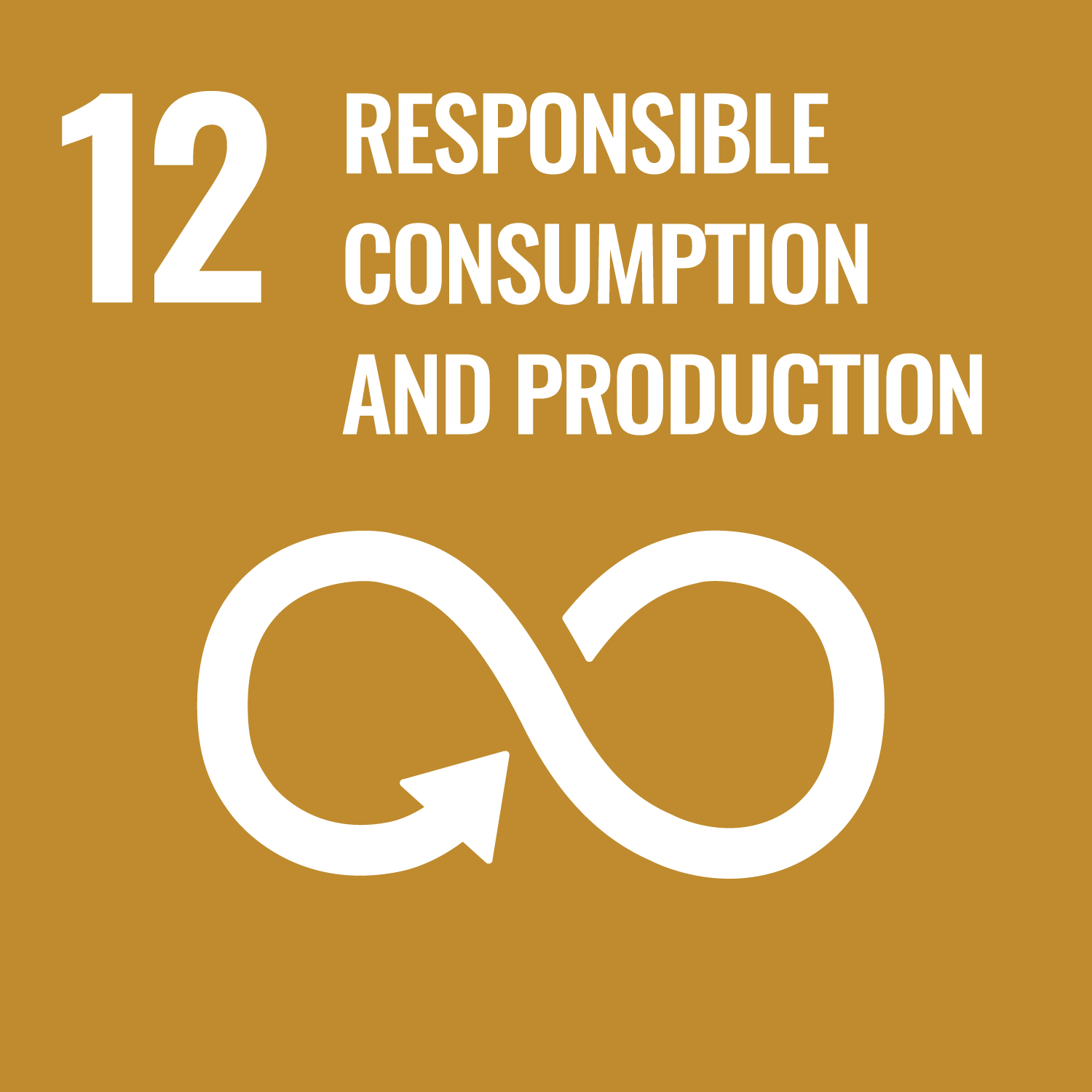 UN SDG 12 image
