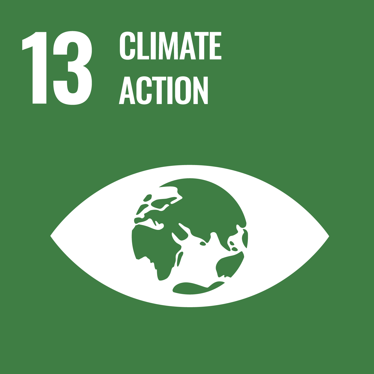 UN SDG 13 image