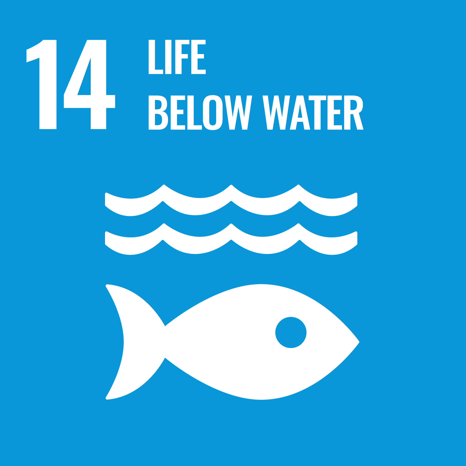UN SDG 14 image