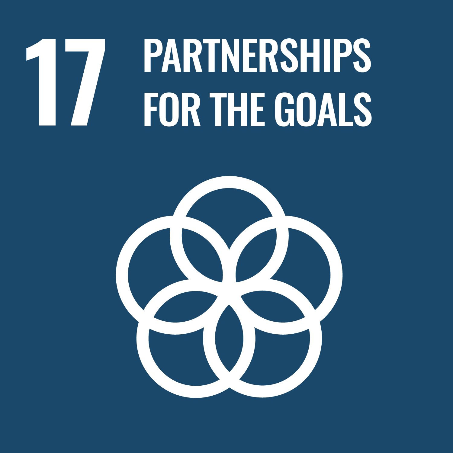 UN SDG 17 image